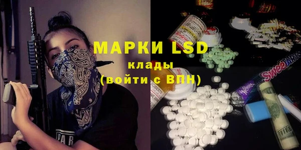 ГАЛЛЮЦИНОГЕННЫЕ ГРИБЫ Арсеньев